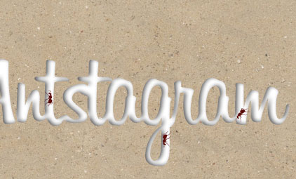 Antstagram thumbnail